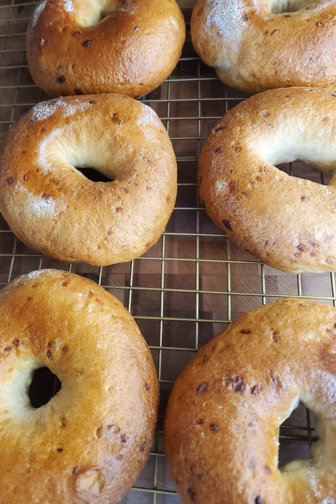 Onion Bagels